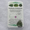 thin green besednice moldavite tektite with a moldavite life certificate of authenticity