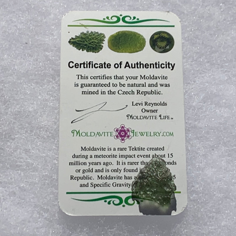 thin green besednice moldavite tektite with a moldavite life certificate of authenticity