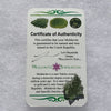 thin green besednice moldavite tektite with a moldavite life certificate of authenticity