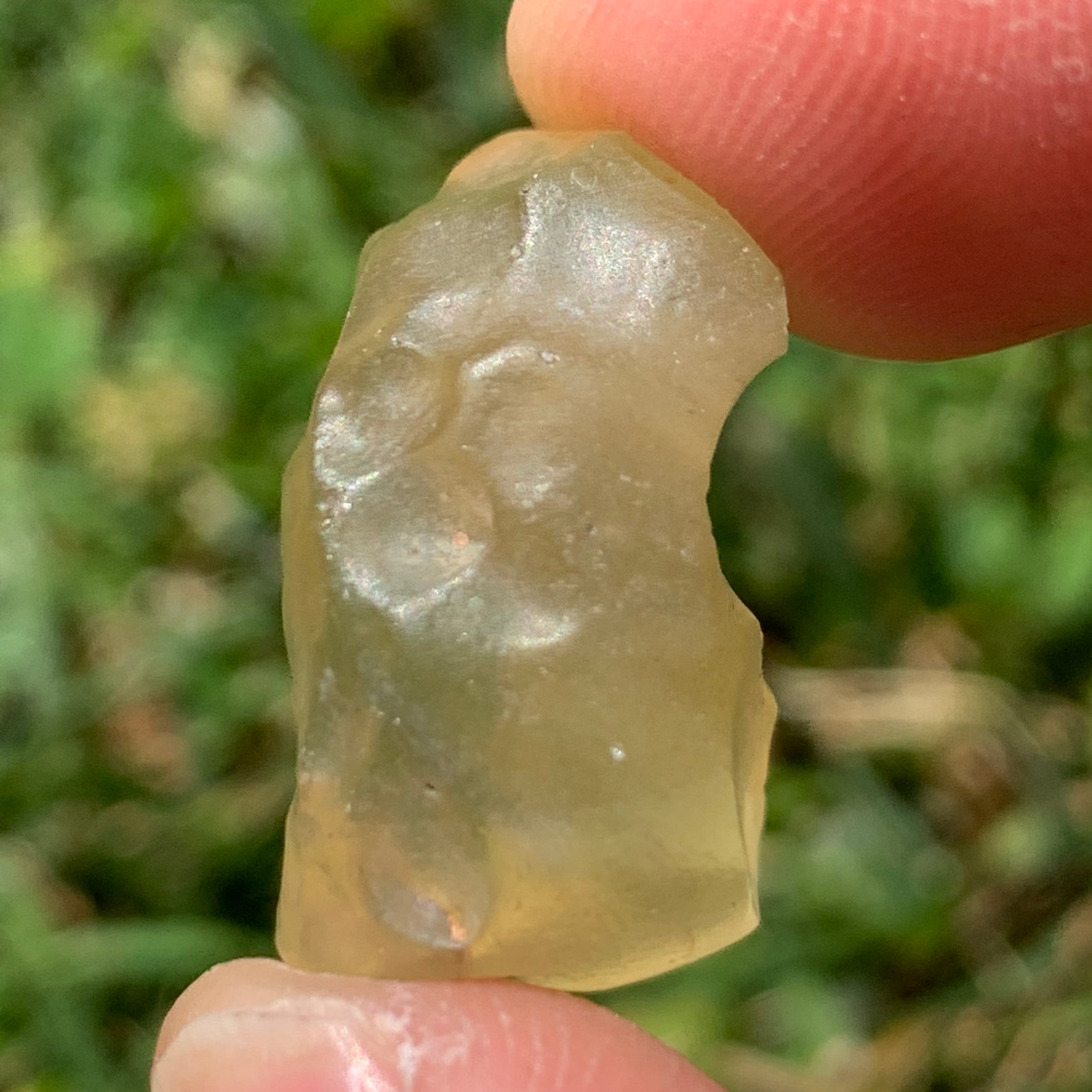 libyan desert glass is held up with sunlight shining on it