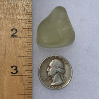 libyan desert glass next to a ruler and US quarter for scale