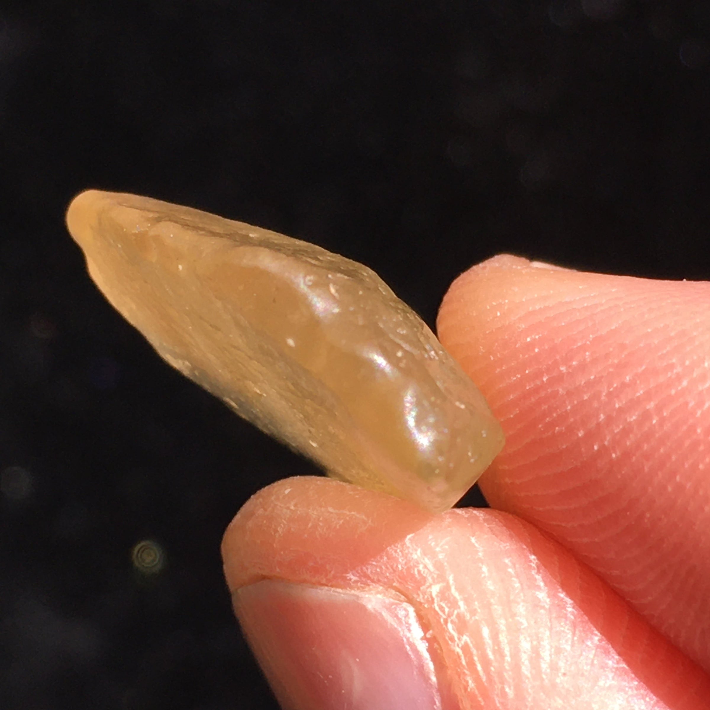 Libyan Desert Glass Tektite 2.6 grams-Moldavite Life