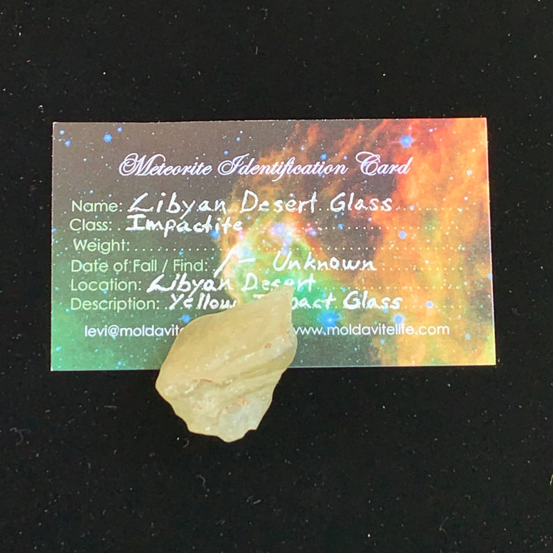 libyan desert glass sits with a moldavite life meteorite identification card