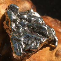 Meteorite Campo Del Cielo "Field of Heaven" 10.2 grams-Moldavite Life
