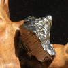 Meteorite Campo Del Cielo "Field of Heaven" 11.8 grams-Moldavite Life