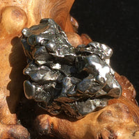 Meteorite Campo Del Cielo "Field of Heaven" 15.9 grams-Moldavite Life