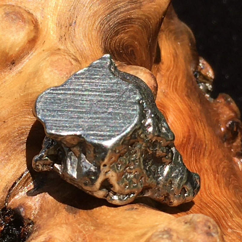Meteorite Campo Del Cielo "Field of Heaven" 6.9 grams-Moldavite Life