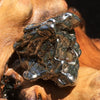 Meteorite Campo Del Cielo "Field of Heaven" 8.9 grams-Moldavite Life