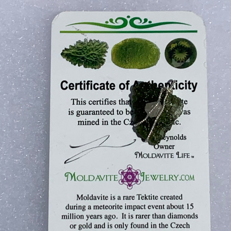 sterling silver wire wrapped raw moldavite tektite and colorado phenacite crystal pendant sitting on moldavite certificate of authenticity for display