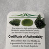 Moldavite Genuine Certified 1.3 grams-Moldavite Life