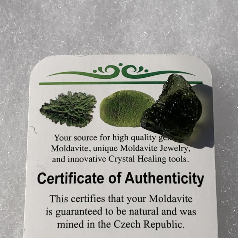 Moldavite Genuine Certified 1.4 grams-Moldavite Life