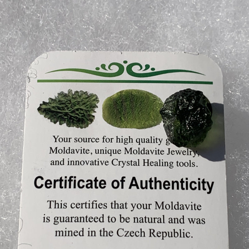 Moldavite Genuine Certified 1.5 grams-Moldavite Life