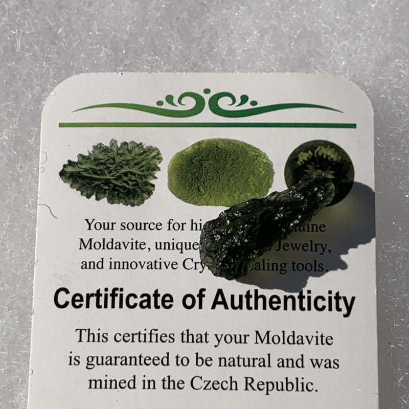 Moldavite Genuine Certified 1.6 grams-Moldavite Life