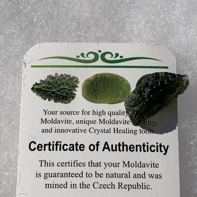 Moldavite Genuine Certified 2 grams-Moldavite Life