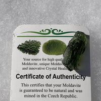 Moldavite Genuine Certified 2.1 grams-Moldavite Life