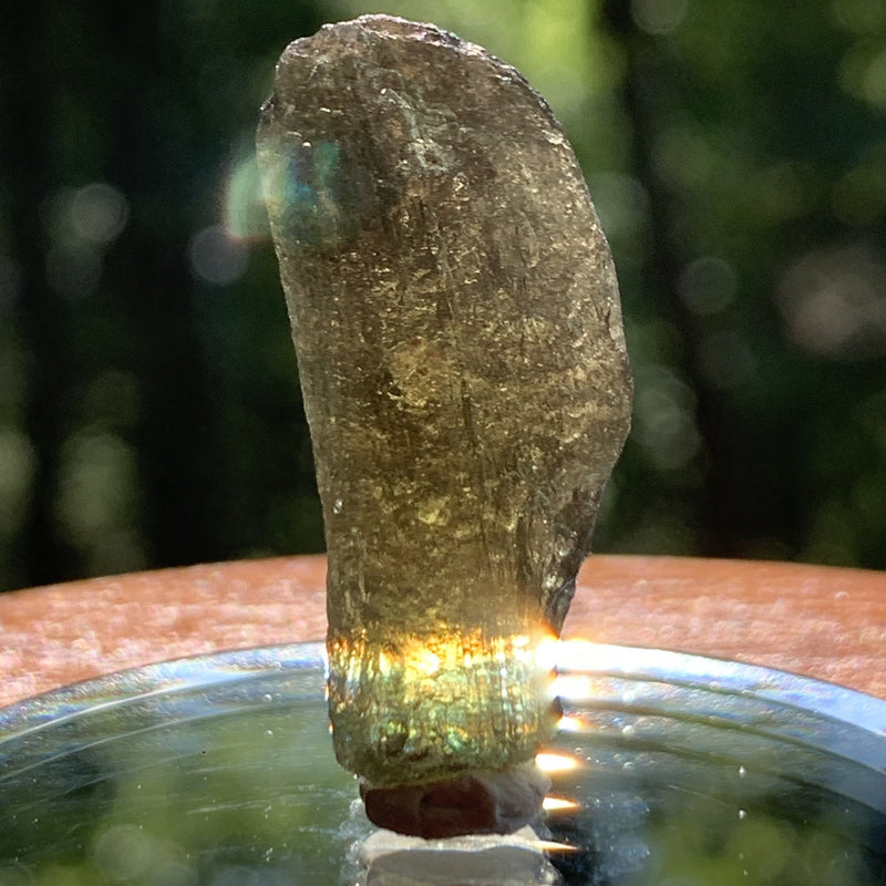 Moldavite 3 grams