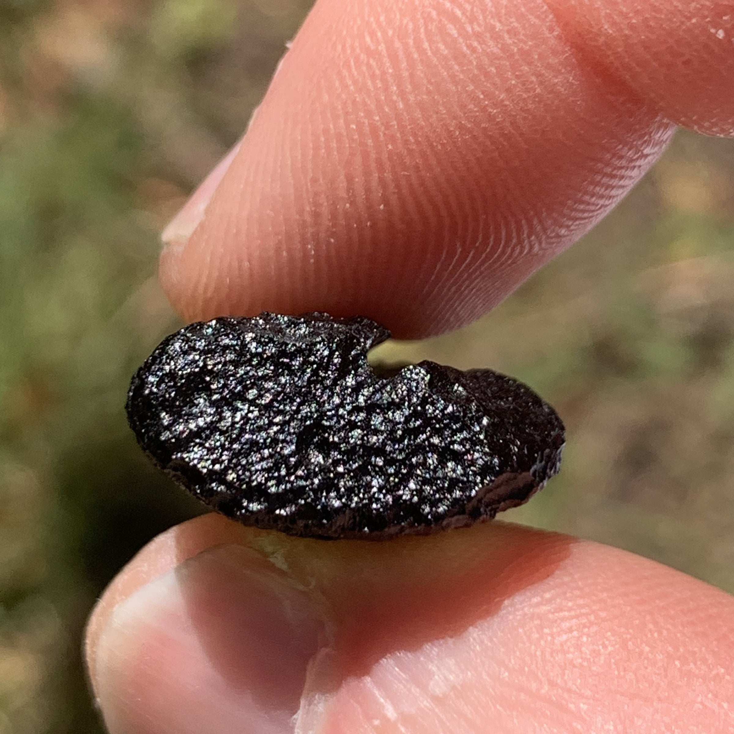 Moldavite 4.8 grams