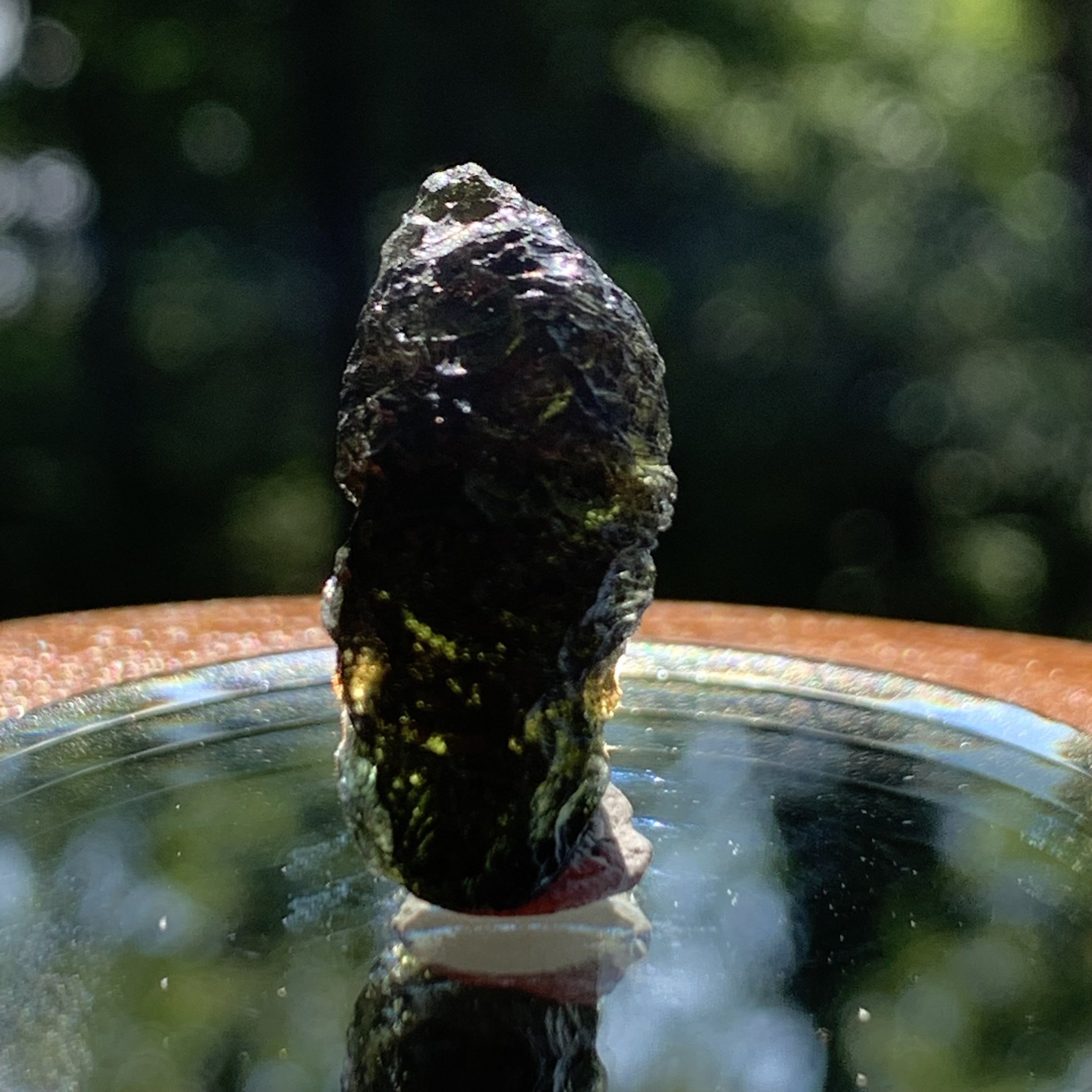 Moldavite Genuine Certified Czech Republic 5 grams