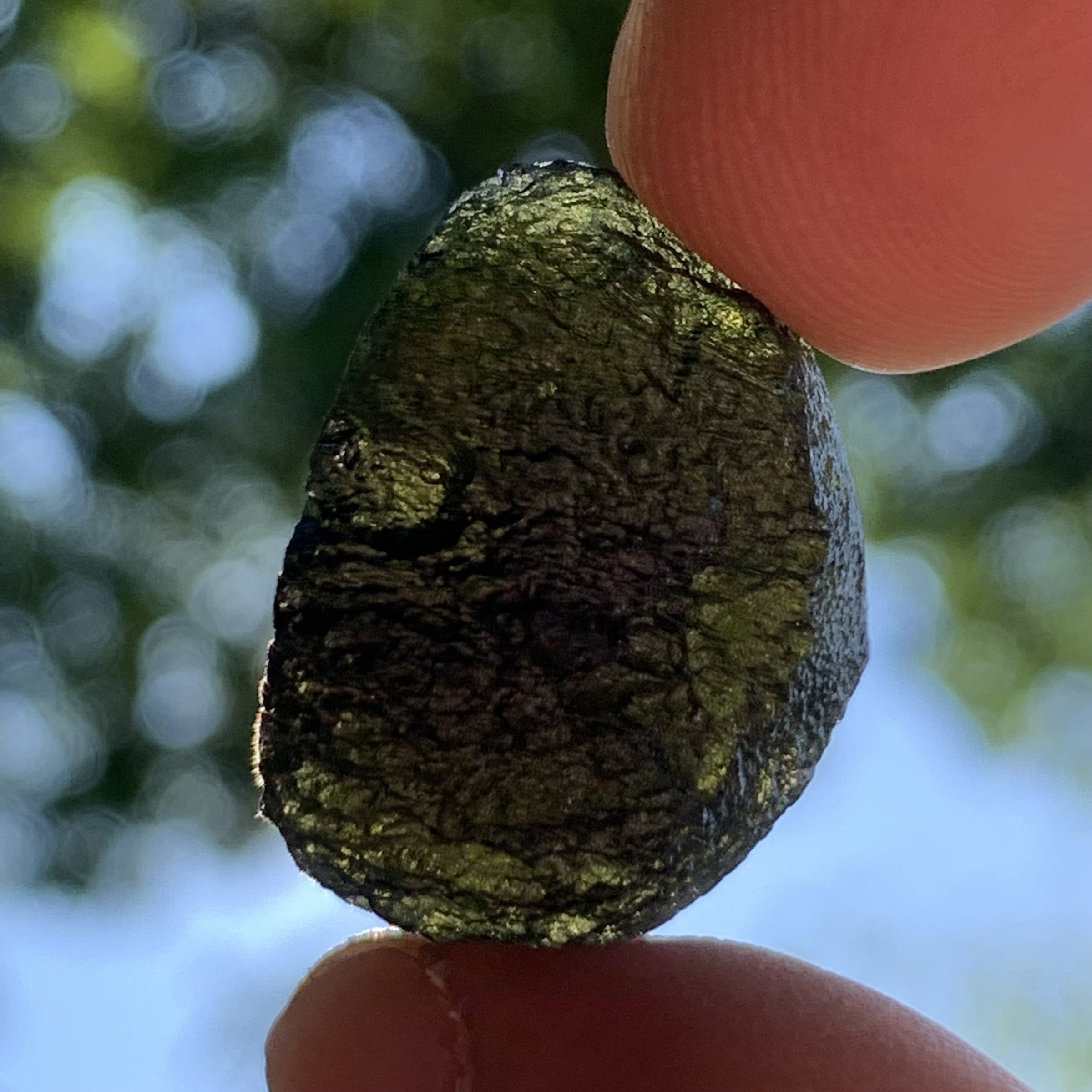 Moldavite 7.7 grams