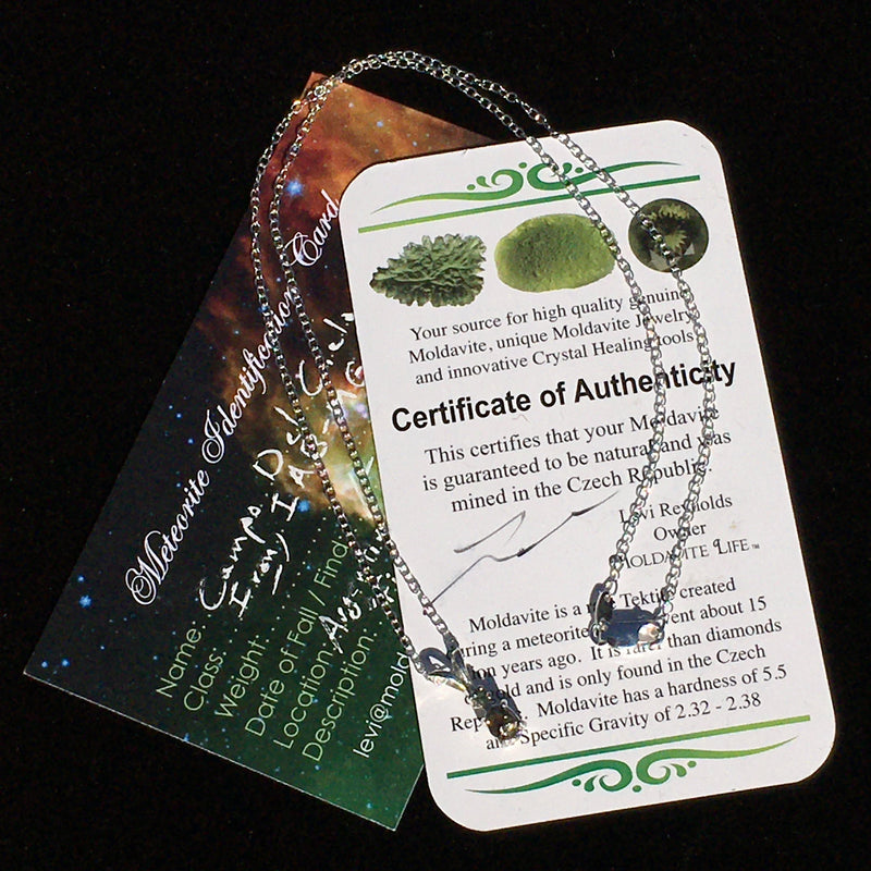 Moldavite Meteorite Necklace Silver "Field of Heaven"-Moldavite Life