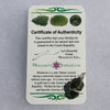 the certificate of authenticity with the moldavite pendant