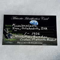 Muonionalusta Meteorite Pendant Sterling Silver 10-Moldavite Life