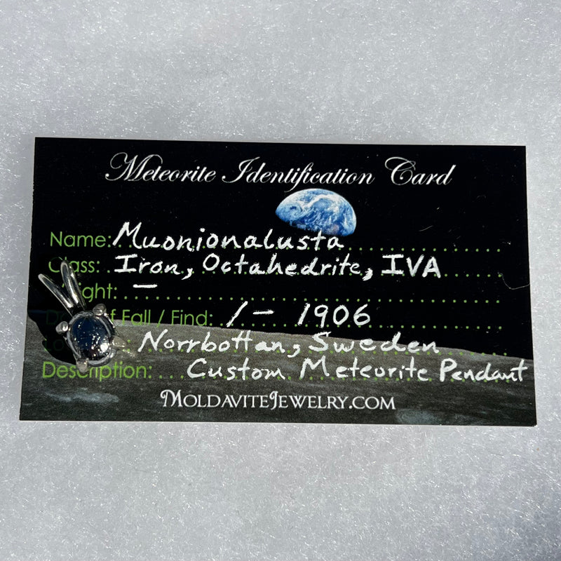 Muonionalusta Meteorite Pendant Sterling Silver 10-Moldavite Life