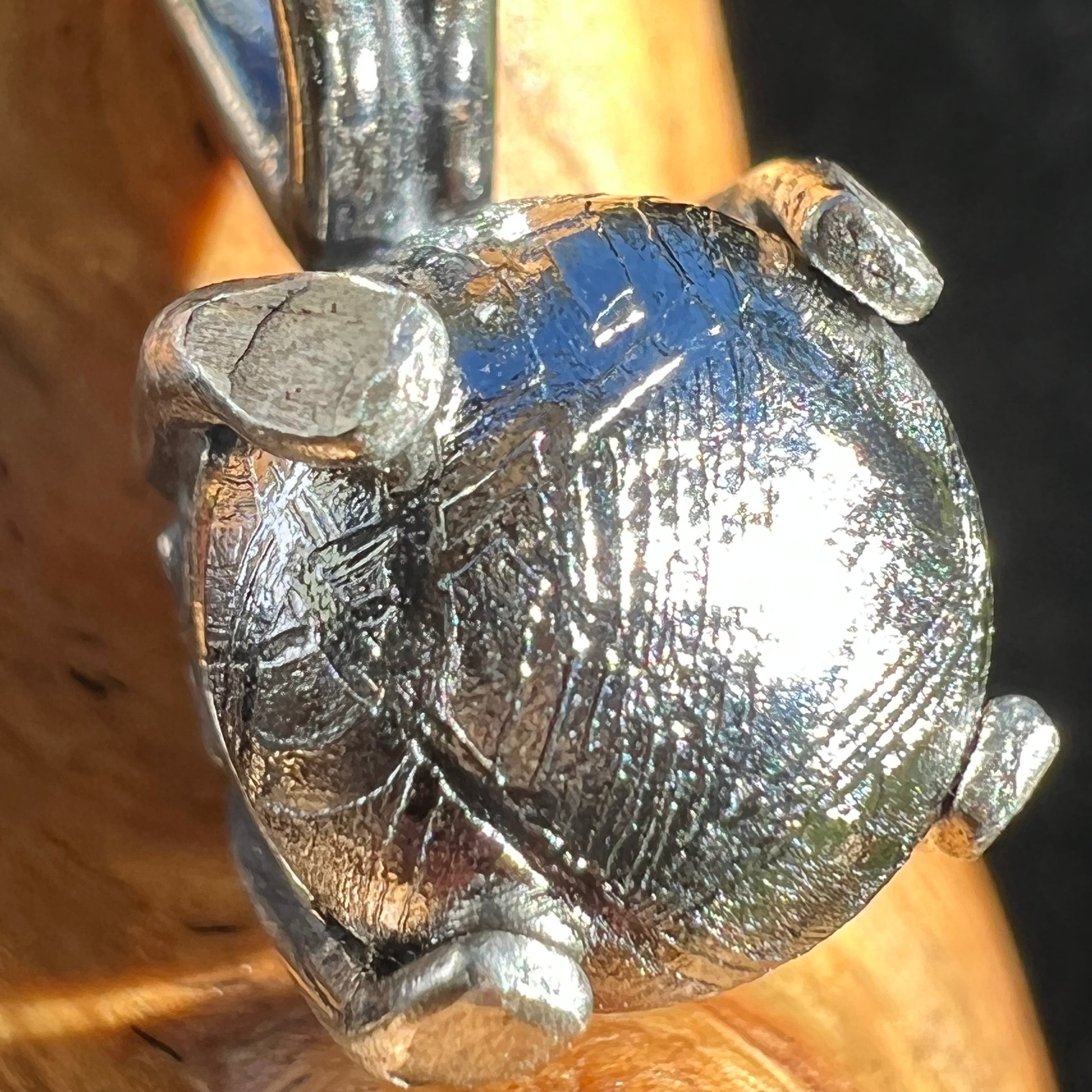 Muonionalusta Meteorite Pendant Sterling Silver 3-Moldavite Life