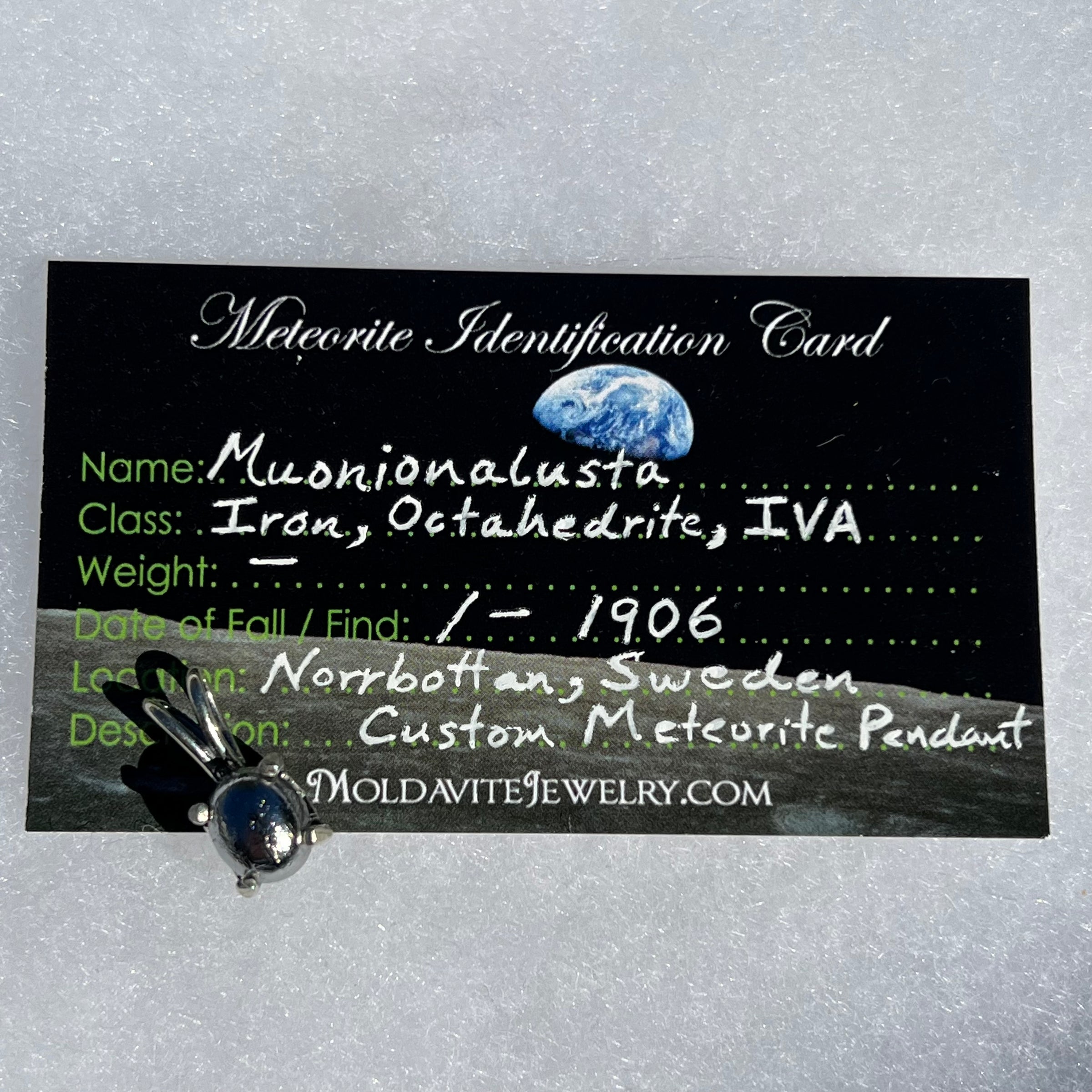 Muonionalusta Meteorite Pendant Sterling Silver 4-Moldavite Life