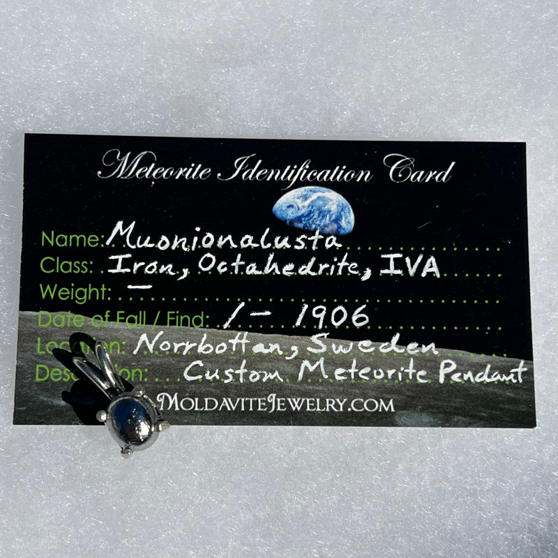Muonionalusta Meteorite Pendant Sterling Silver 4-Moldavite Life