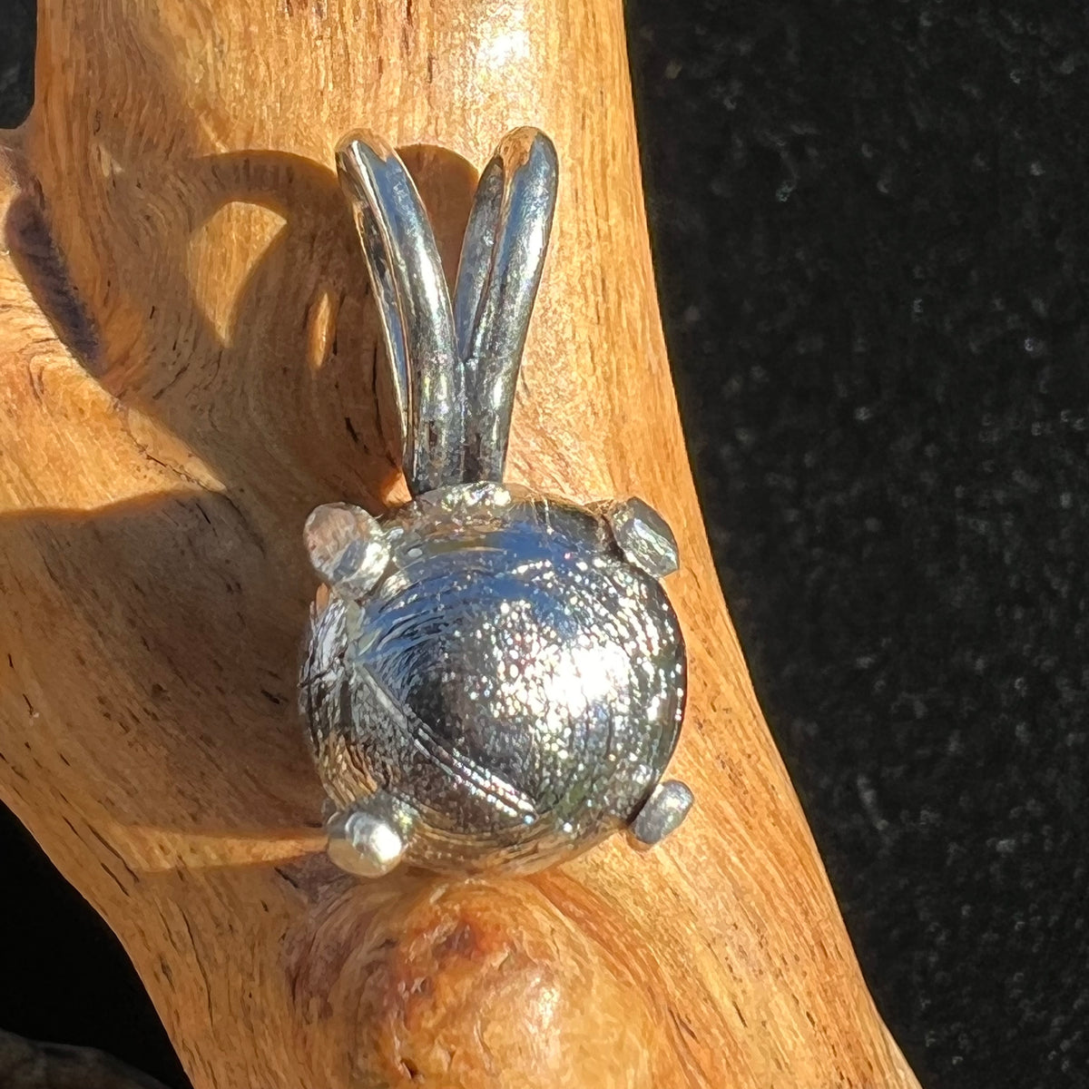 Muonionalusta Meteorite Pendant Sterling Silver 9-Moldavite Life