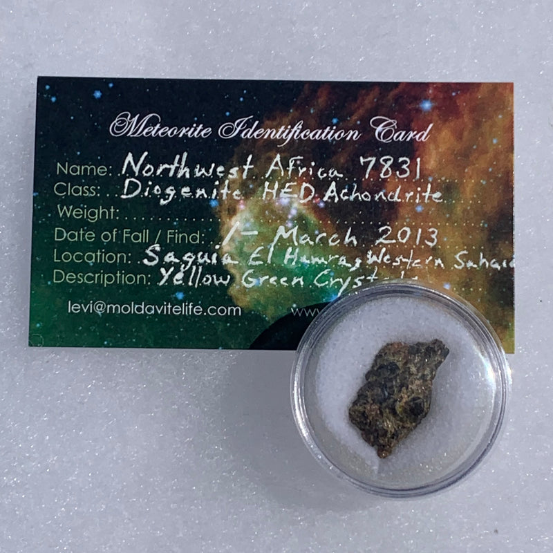 NWA 7831 meteorite in gem jar with a moldavite life meteorite identification card