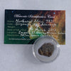 NWA 7831 meteorite in gem jar with a moldavite life meteorite identification card