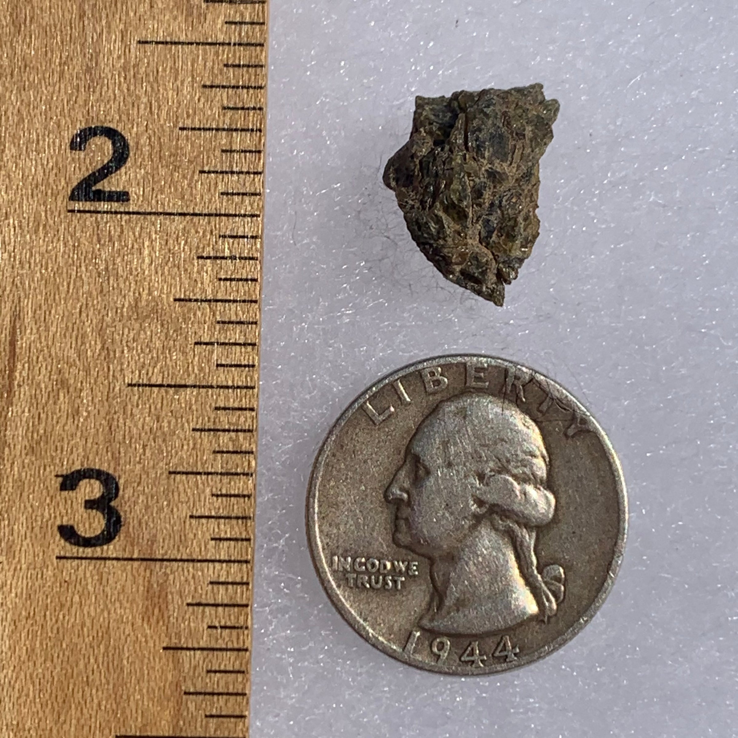 NWA 7831 meteorite next to a ruler and US quarter for scale