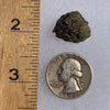 NWA 7831 meteorite next to a ruler and US quarter for scale