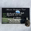 NWA 869 Meteorite Pendant Sterling Silver NWA869-P1-Moldavite Life