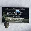 NWA 869 Meteorite Pendant Sterling Silver NWA869-P8-Moldavite Life