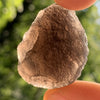 Pearl of Fire Agni Manitite 18.4 grams PF73-Moldavite Life