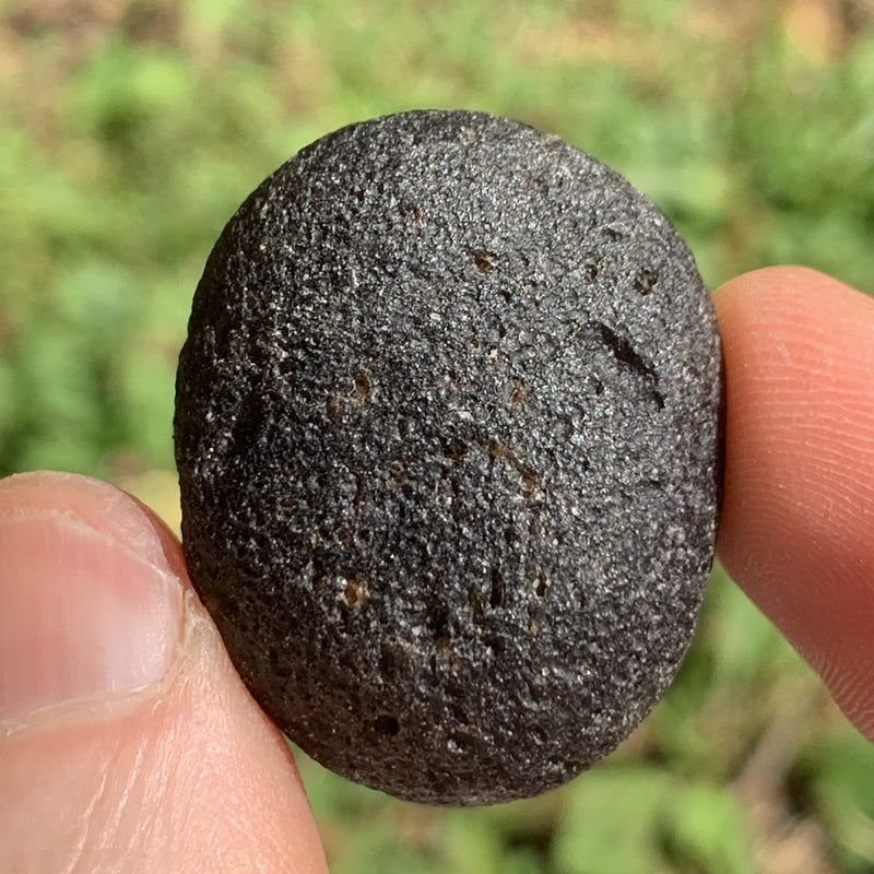 Pearl of Fire Agni Manitite 19.8 grams PF70-Moldavite Life
