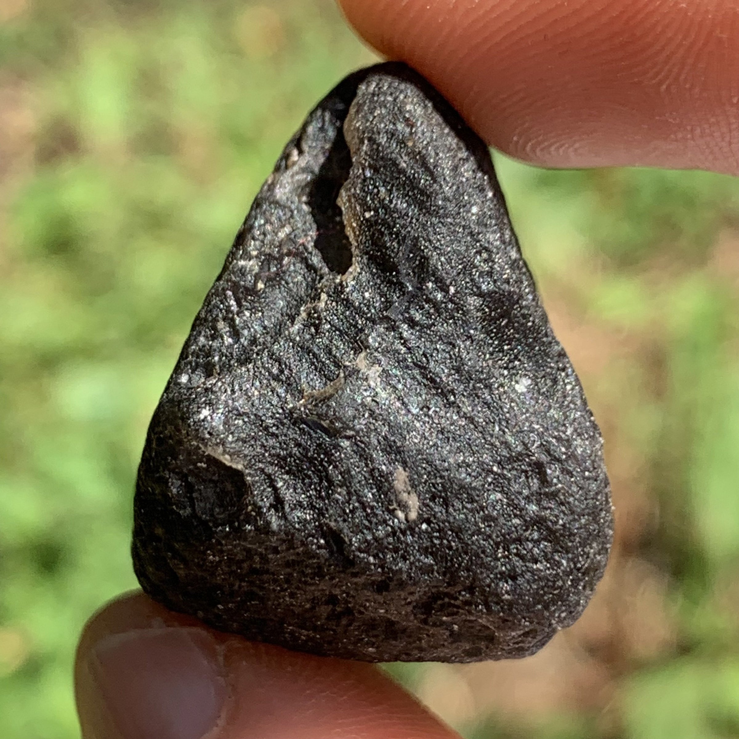 Pearl of Fire Agni Manitite 21.3 grams PF61-Moldavite Life