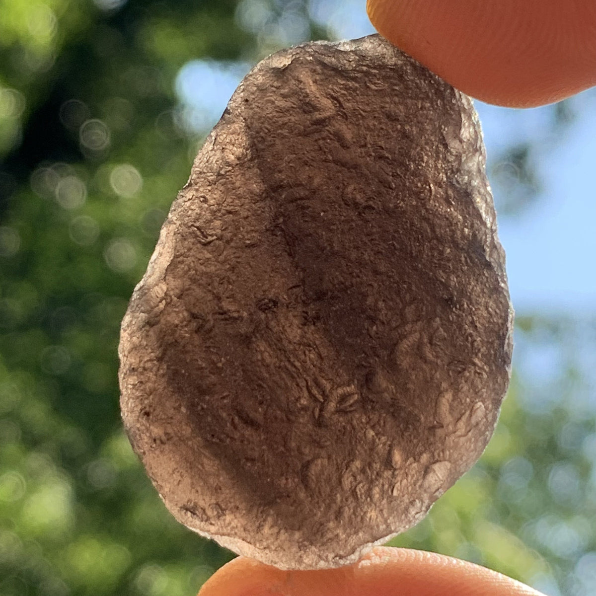 Pearl of Fire Agni Manitite 21.5 grams PF64-Moldavite Life