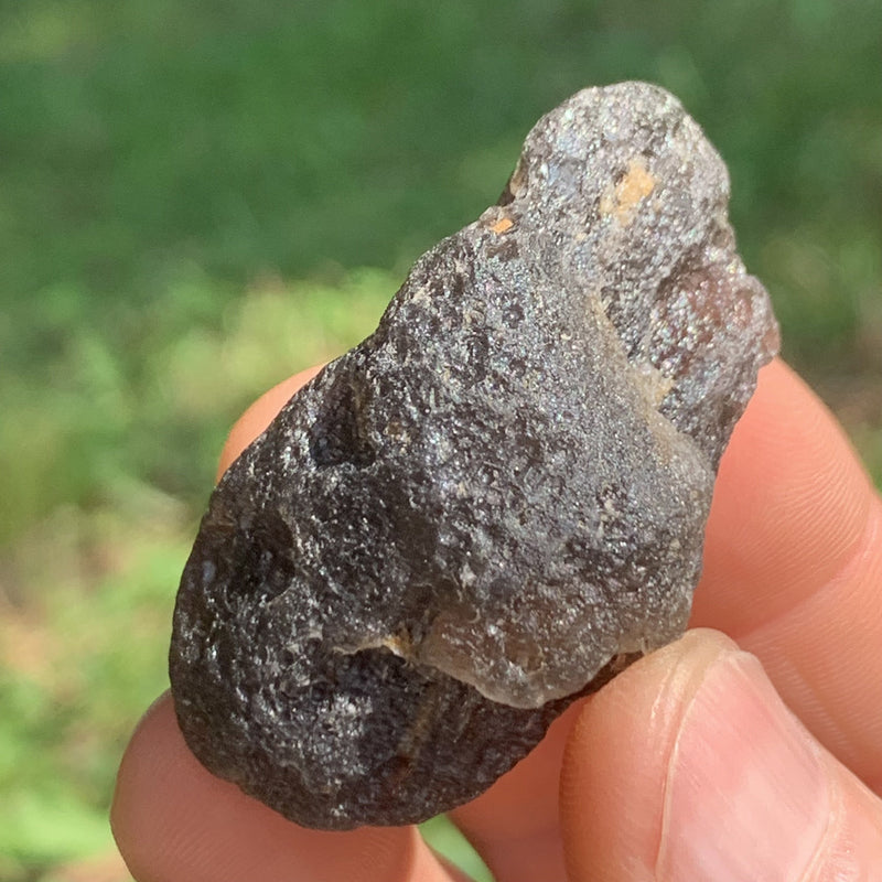Pearl of Fire Agni Manitite 24.7 grams PF63-Moldavite Life