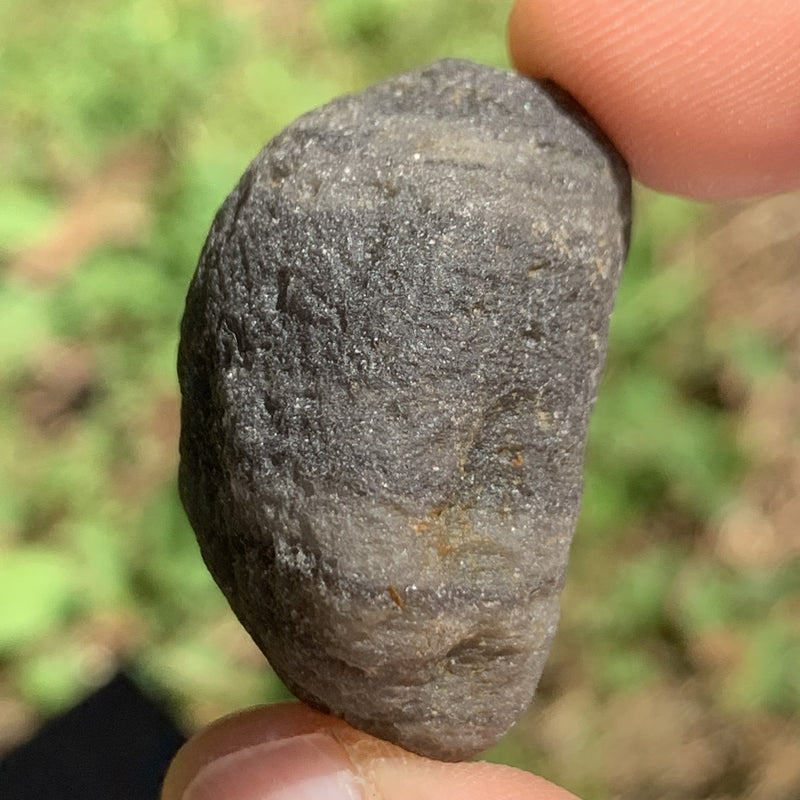 Pearl of Fire Agni Manitite 25.2 grams PF68-Moldavite Life