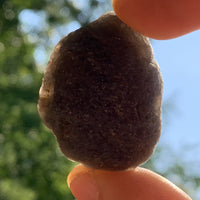Pearl of Fire Agni Manitite 25.2 grams PF68-Moldavite Life