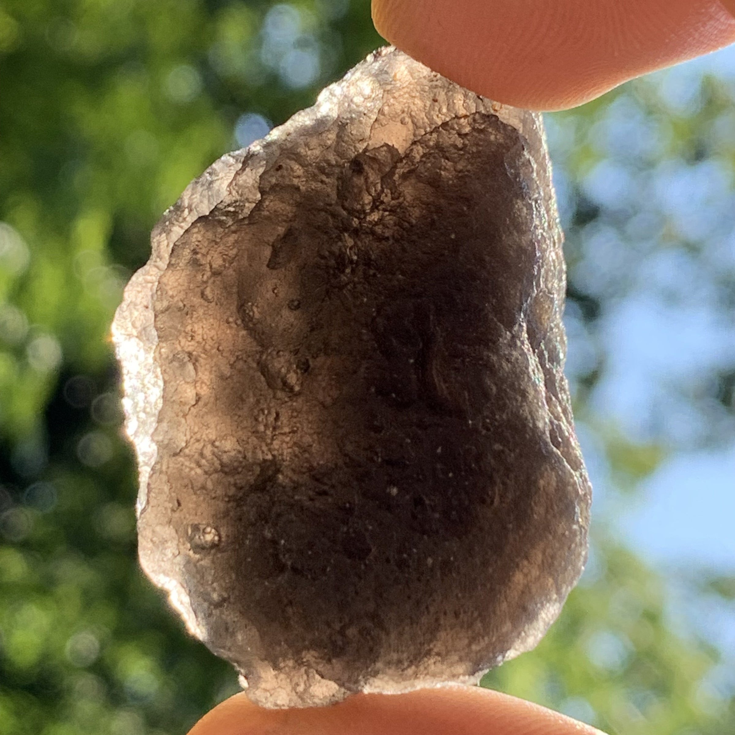 Pearl of Fire Agni Manitite 25.4 grams PF62-Moldavite Life