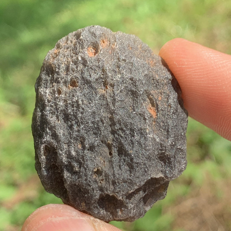 Pearl of Fire Agni Manitite 28.8 grams PF74-Moldavite Life