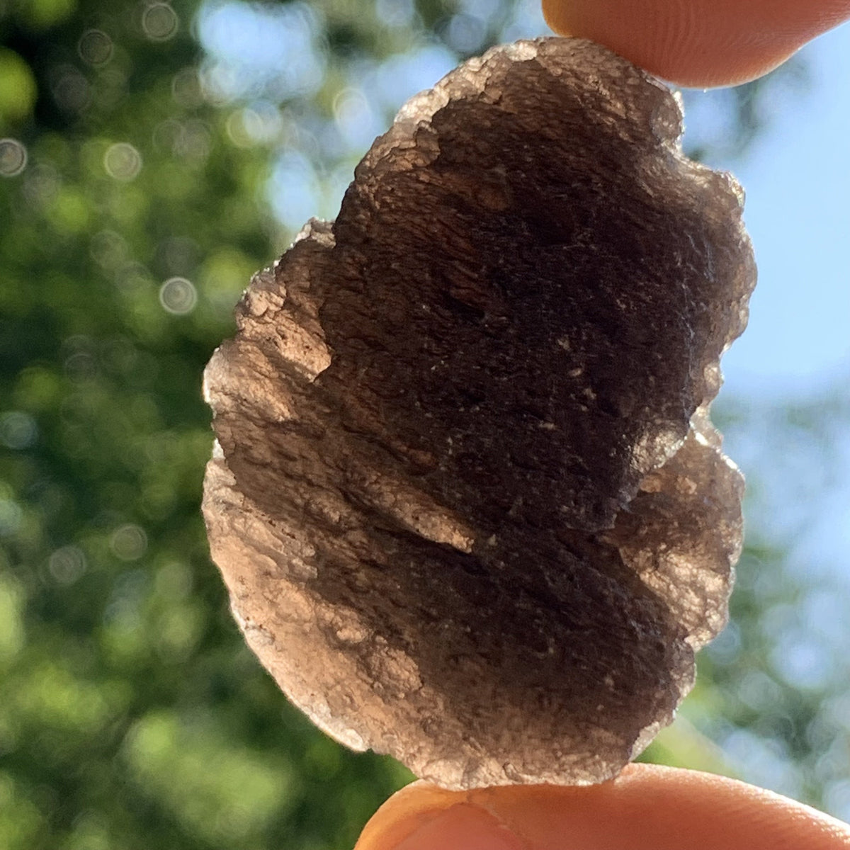 Pearl of Fire Agni Manitite 35.5 grams PF67-Moldavite Life