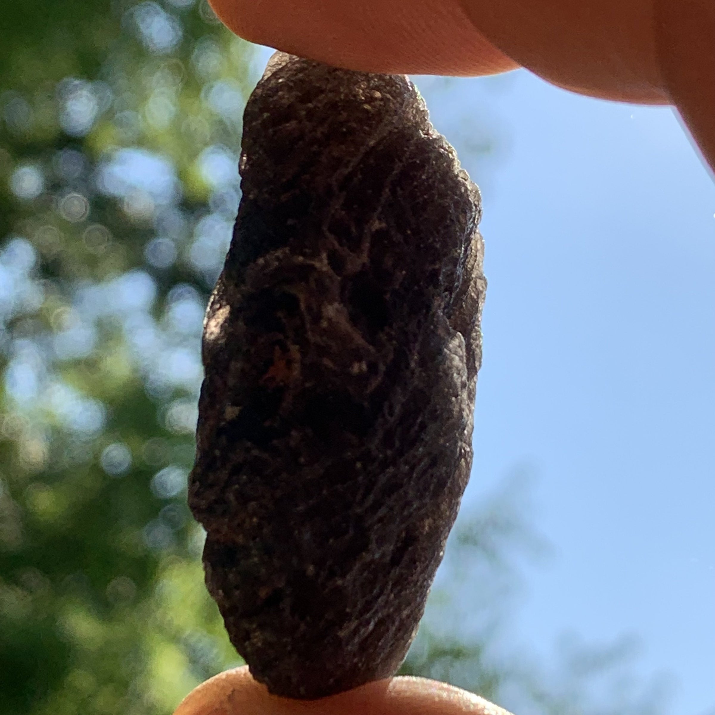 Pearl of Fire Agni Manitite 36.6 grams PF60-Moldavite Life