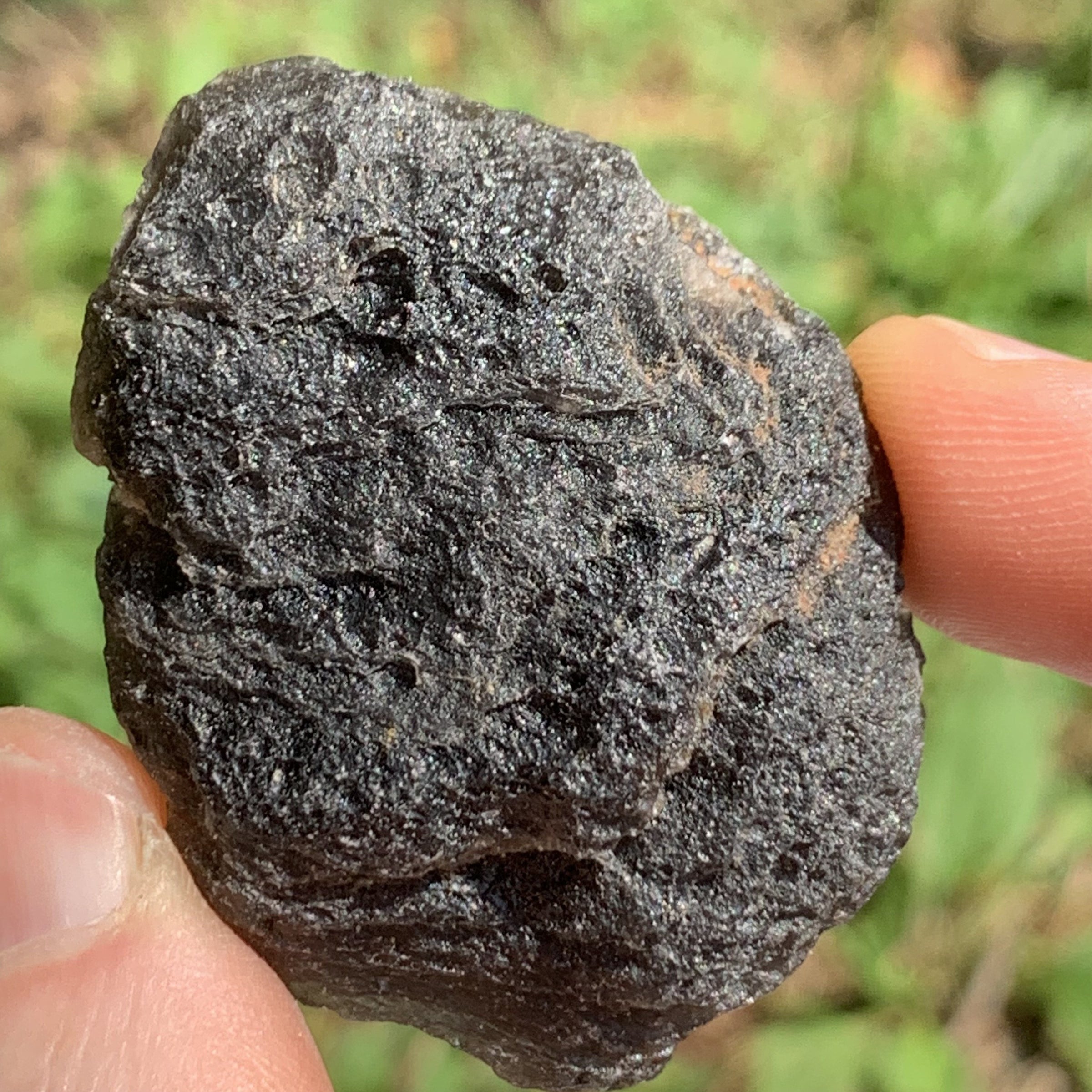 Pearl of Fire Agni Manitite 36.6 grams PF60-Moldavite Life