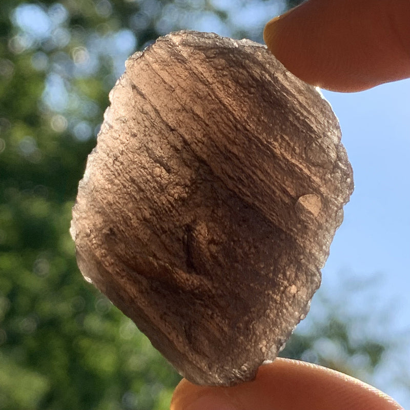 Pearl of Fire Agni Manitite 39.4 grams PF69-Moldavite Life